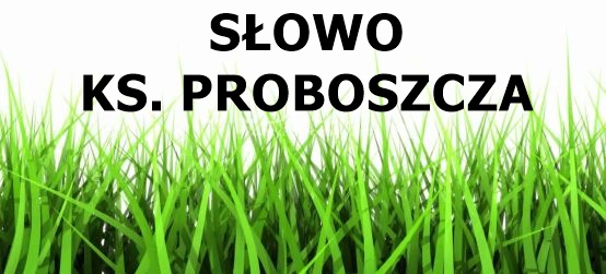 slowoksprob2020