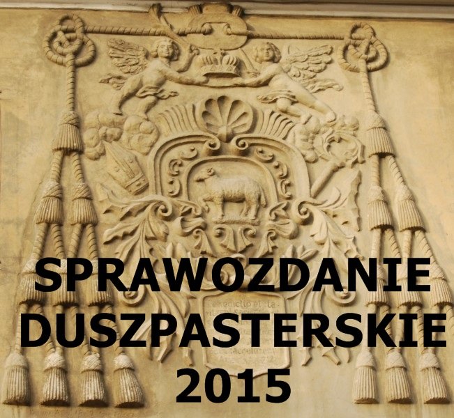 sprawozdanie2015